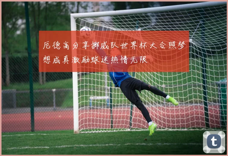 厄德高分享挪威队世界杯大合照梦想成真激励球迷热情无限